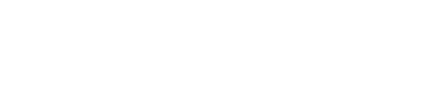 netevolution-logo